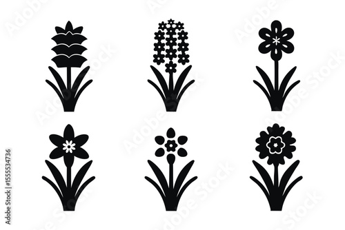 set of Hyacinth icon vector silhouette illustration isolated on white background