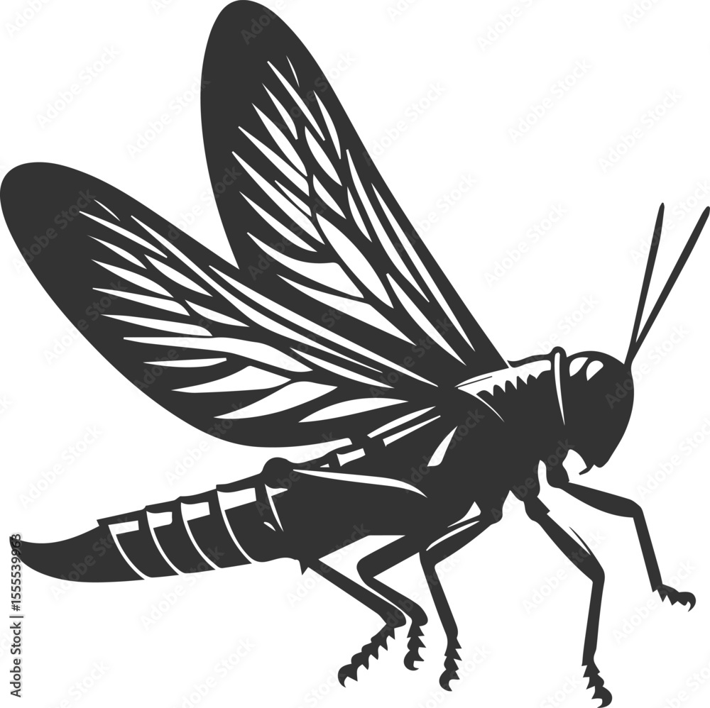 Obraz premium Grasshopper black clip art silhouette graphic drawing isolated animal illustration