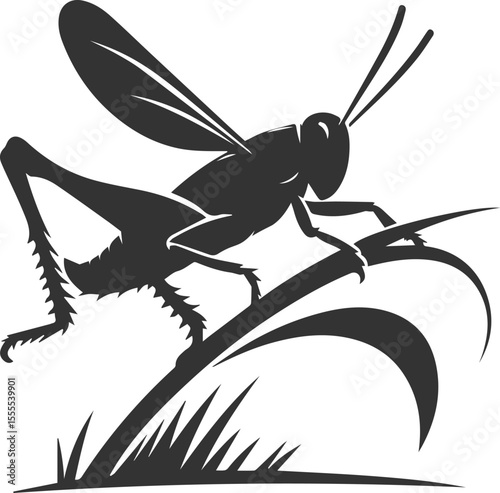 Grasshopper black clip art silhouette graphic drawing isolated animal illustration