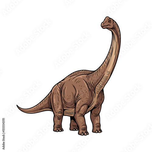 brontosaurus dinosaur vector illustration on white background