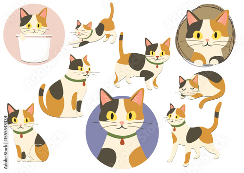 いろんなポーズの三毛猫セット、Set of Cute Calico Cats in Various Poses