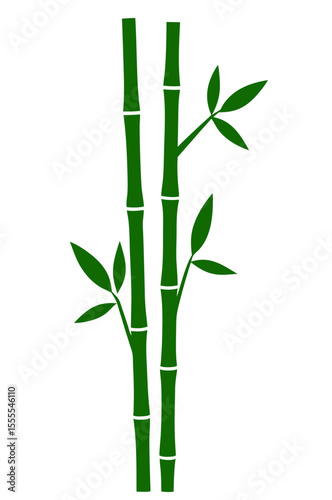 vector of vertical bamboo stems with green nodes and realistic leaves, slight bending, isolated on white background
