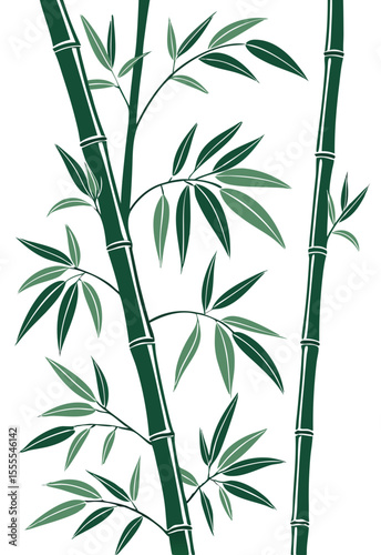 vector of vertical bamboo stems with green nodes and realistic leaves, slight bending, isolated on white background
