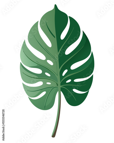 vector illustration of a single Monstera deliciosa leaf with detailed fenestrations, realistic texture and shadows, isolated on white background
