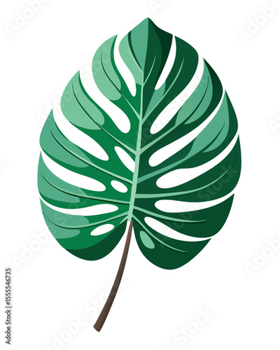 vector illustration of a single Monstera deliciosa leaf with detailed fenestrations, realistic texture and shadows, isolated on white background
