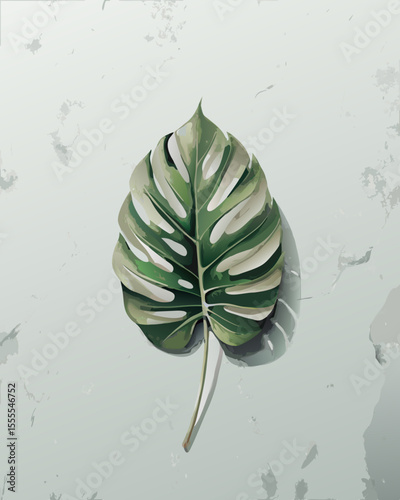 vector illustration of a single Monstera deliciosa leaf with detailed fenestrations, realistic texture and shadows, isolated on white background
