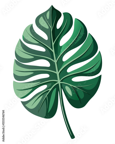 vector illustration of a single Monstera deliciosa leaf with detailed fenestrations, realistic texture and shadows, isolated on white background
