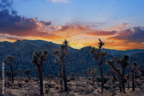 Sunset over Joshua Tree National Park,