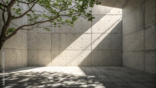 A modern concrete room with a vibrant green tree standing tall, receiving direct sunlight that casts beautiful shadows on the floor tiles.