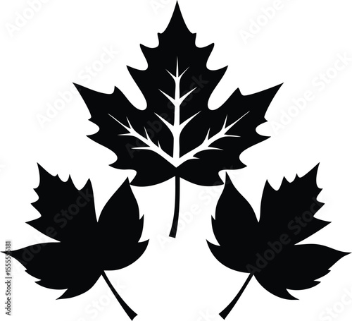 leaf silhouette, plant silhouette, leaf symbol