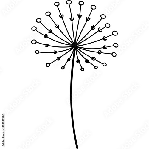 vector dandelion flower