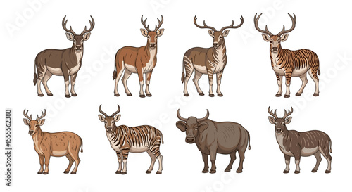 Illustration of eight different deer and antelope species standing on a white background in a group shot