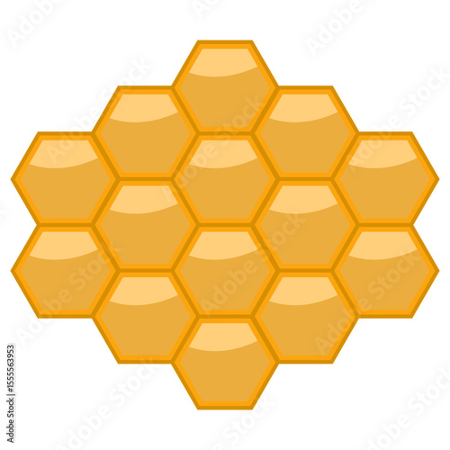 Honey Comb Illustration