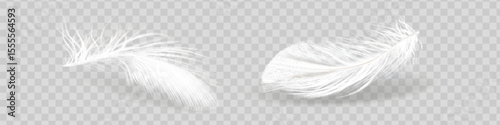 Vector 3d Realistic Various Falling White Fluffy Twisted Feather Set Close Up Isolated On Background