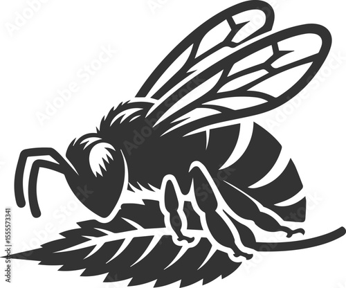 A bee insect black vector illustration silhouette drawing