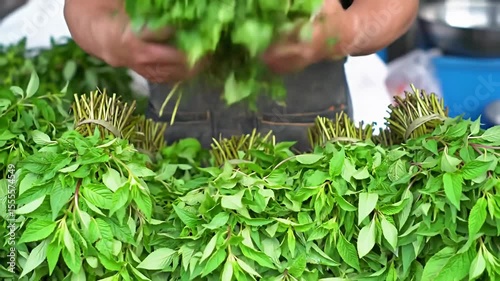 Bundles of fresh basil on display at a market, hand reaches for a bunch
