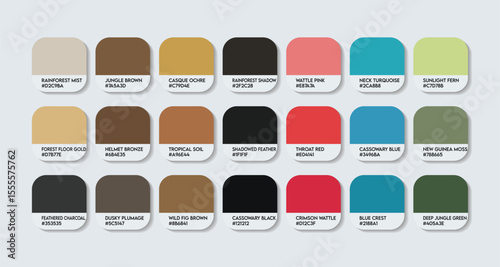 Casuariidae Color Palette. Casuariidae color Tone Swatch Chart with HEX Codes and Color Names. cassowaries and Jet-black feathers and Body Colors Tones Variants. Fashion Trend color palette Vector