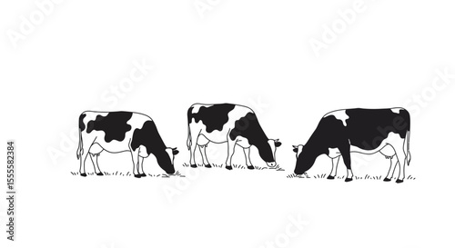 Vector Cartoon Black and White Cow Eating Grass – Isolated Dairy Farm Animal Illustration on White Background