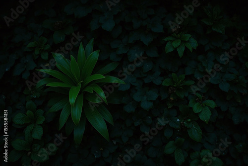 green wall with lots of plants on it
