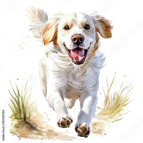 Dog Running Spring Trail, watercolor vector, isolated on a white background.