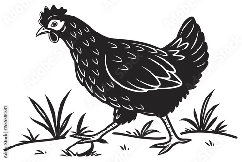 Black Chicken Silhouette – Poultry Clipart
