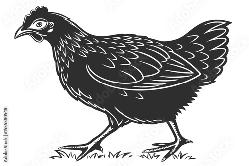 Black Chicken Silhouette – Poultry Clipart