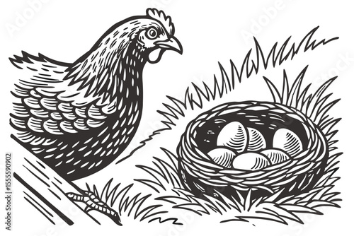 Traditional Farm Hen with Nest Outline Art