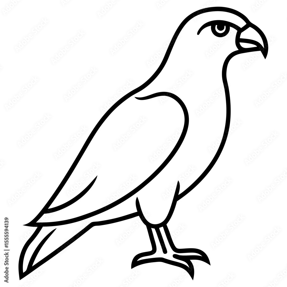 Fototapeta premium vector illustration of a hawk