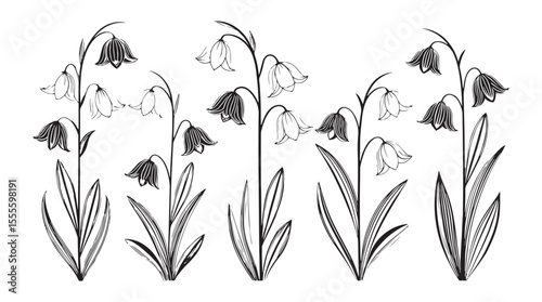 Artistic blue and white bellflower botanical illustration silhouette with delicate petals and leaves