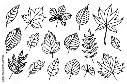 Hand-drawn set of autumn leaves in black outline style