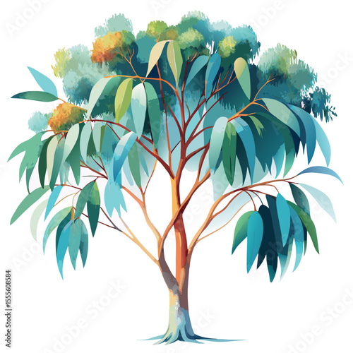 Watercolor illustration of a tasmanian blue gum tree