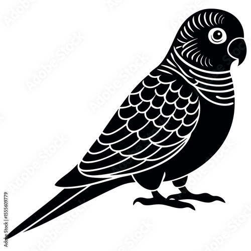 Black silhouette of a budgerigar parrot in vector art