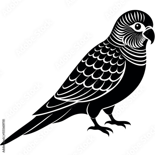 Black budgerigar parrot silhouette vector art for design projects