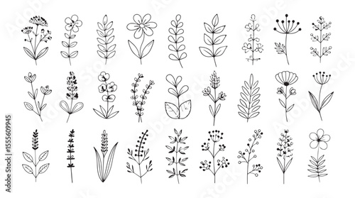Collection of hand drawn botanical elements and wildflowers in a simple outline silhouette style
