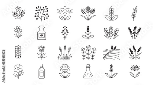 Collection of simple line art botanical illustrations and essential oil bottles in a clean silhouette style