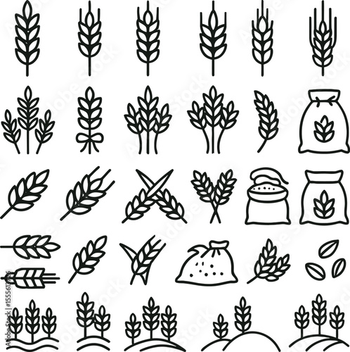 Hand drawn vector set of flowers and wheat ears for decorative nature design