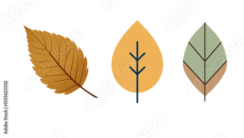set of autumn leaves