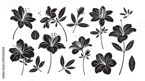 Collection of black and white floral illustrations with detailed petals and leaves silhouette