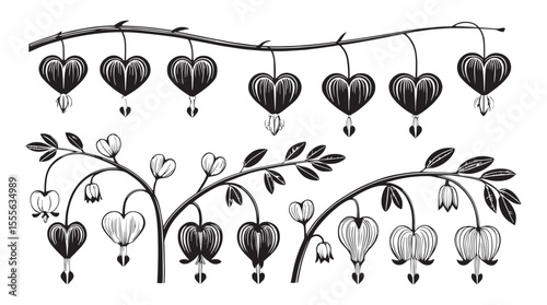 Decorative black and white bleeding heart flower branches and blooms silhouette design