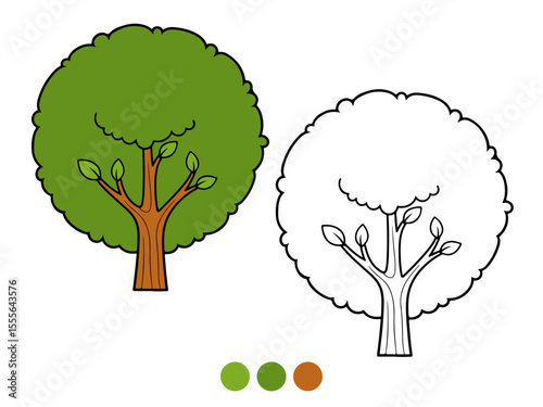 Cartoon illustration of a vibrant green round tree with a brown trunk, shown both colored and as an outline for coloring. Ideal for children's educational materials.