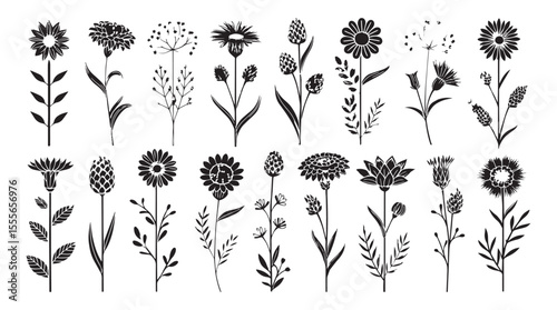 Collection of diverse botanical flower silhouettes with delicate stems and leaves