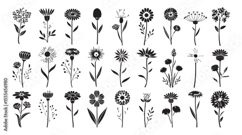 Collection of diverse black and white floral silhouettes with detailed petals and stems