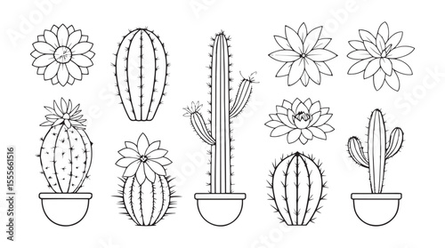 Collection of various cactus plants and flowers in pots with delicate line art silhouette style
