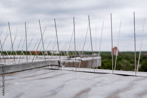 Close-up view of stainless steel bird deterrent spikes installed along a rooftop edge to prevent birds from landing, with a blurred green forest and cloudy sky in the background