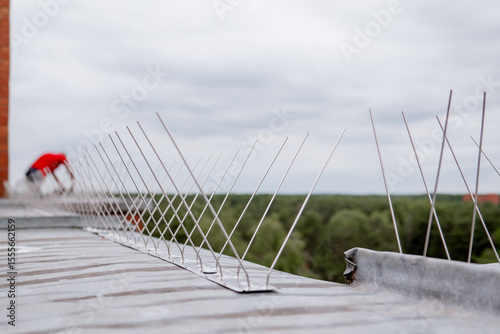 Anti-bird stainless steel spikes installed along a rooftop edge to prevent pigeons and birds from landing, with a worker blurred in the background during pest control work