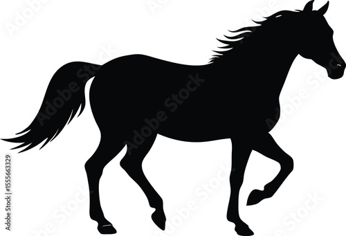 Elegant silhouette  morgan horse silhouette horse silhouette vector.