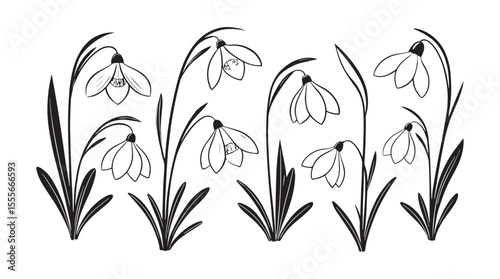 Delicate snowdrop flowers in a stylized silhouette pattern for spring season