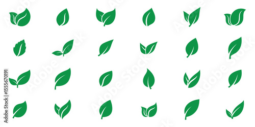 Green leaves icons set isolated on white background vector illustration. Vegan, tree, plant, fresh, energy and healthy nutrition concept. EPS 10