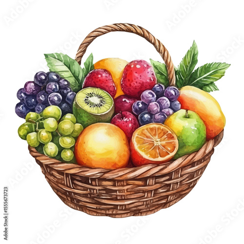 Colorful Fruit Basket, watercolor painting vector, isolated on a white background.