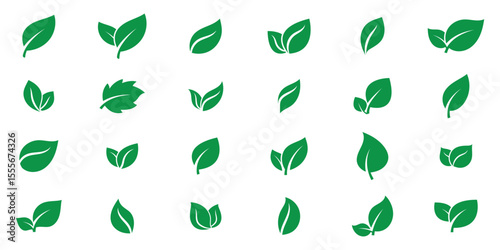 Green leaves icons set isolated on white background vector illustration. Vegan, tree, plant, fresh, energy and healthy nutrition concept. EPS 10